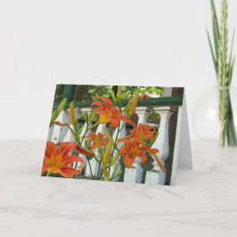 Orange Tiger Lilies - Martha's Vineyard Card Kort