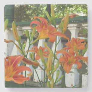 Orange Tiger Lilies - Martha's Vineyard Stenunderlägg