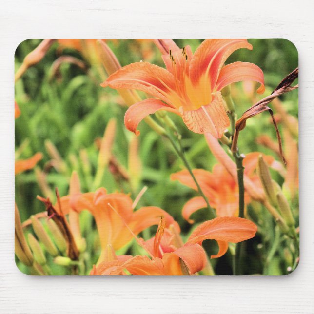 Orange Tiger Lilies Mousepad Musmatta (Framsidan)