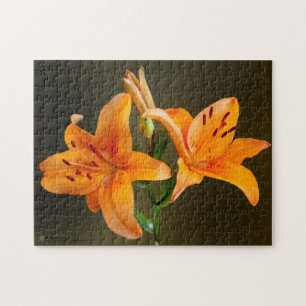 Orange Tiger Lillies Buds Close Fotography Pussel