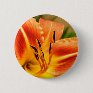 Orange Tiger Lily Badge Knapp