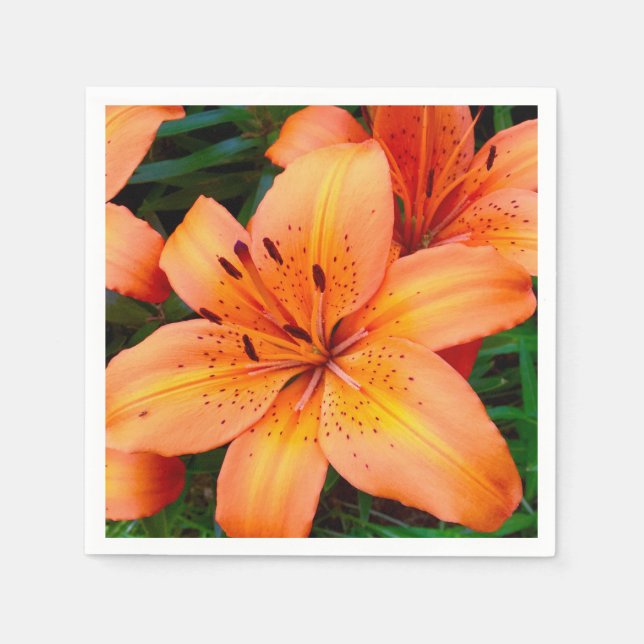 Orange Tiger Lily Blommigt Napkin Pappersservett (Framsidan)