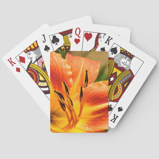 Orange Tiger Lily Casinokort (Baksidan)