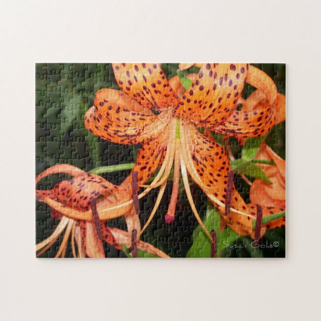 Orange Tiger Lily Flower Jigszle Puzzle Pussel (Horisontell)