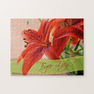 Orange Tiger Lily Flowers Close and Typography Pussel