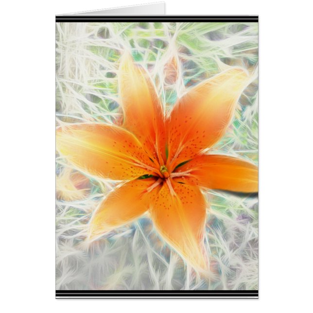 Orange Tiger Lily Hälsningskort (Framsidan)
