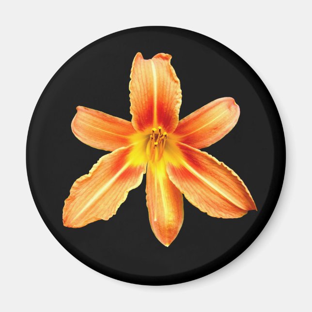 Orange Tiger Lily Magnet (Framsidan)