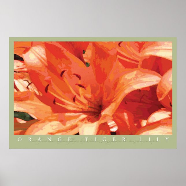 Orange Tiger Lily Print Poster (Framsidan)