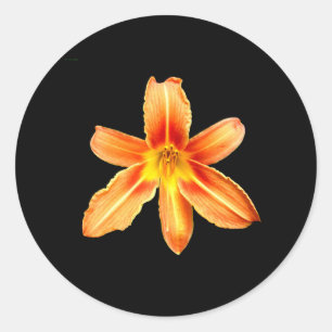 Orange Tiger Lily Stickers Runt Klistermärke