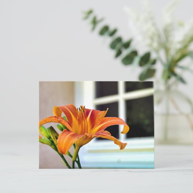 Orange Tiger Lily Vykort (Stående Fram)