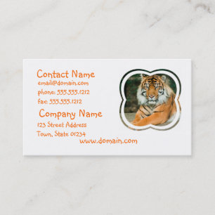 Orange tigervisitkort visitkort