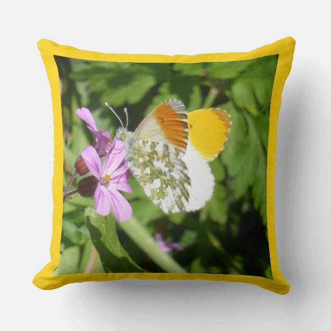 Orange Tip Butterfly Cust. Gräns Dekorativ kudde (Framsida)