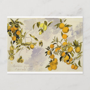 Orange Träd, 1863 (w/c, penna och bläck över grafi Vykort
