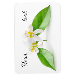Orange träd blommor magnet
