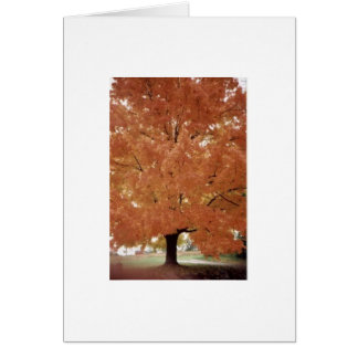 Orange träd hälsningskort