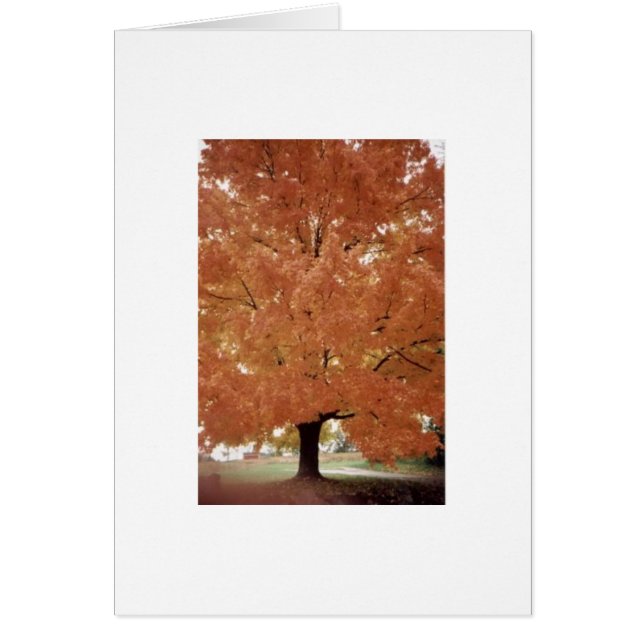 Orange träd hälsningskort (Framsidan)