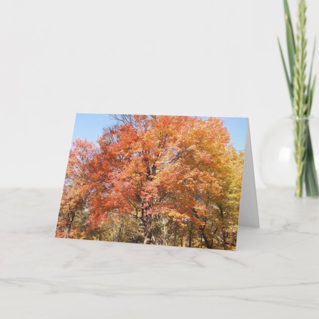 Orange Träd Helgkort (Framsida)