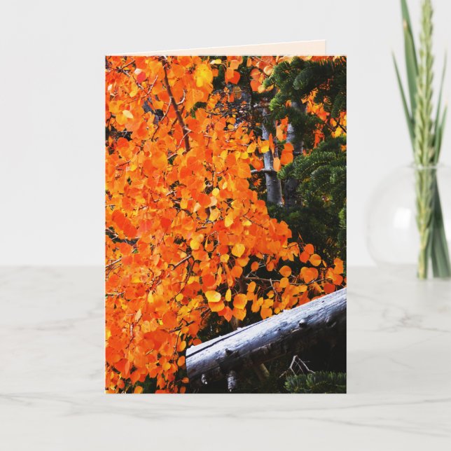 Orange Träd med logg, blank insida Kort (Framsida)