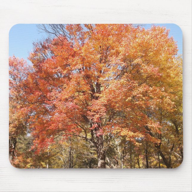 Orange Träd Musmatta (Framsidan)