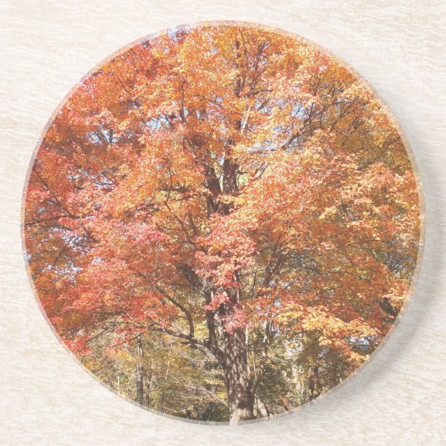 Orange Träd Underlägg (Framsidan)