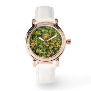 Orange Trumpet Flowers på en vägg. Armbandsur