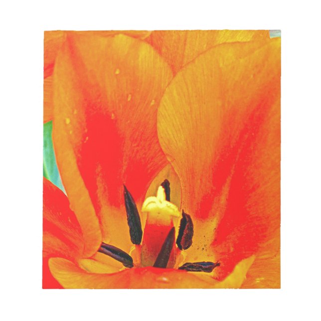 Orange Tulip Anteckningsblock (Framsida)