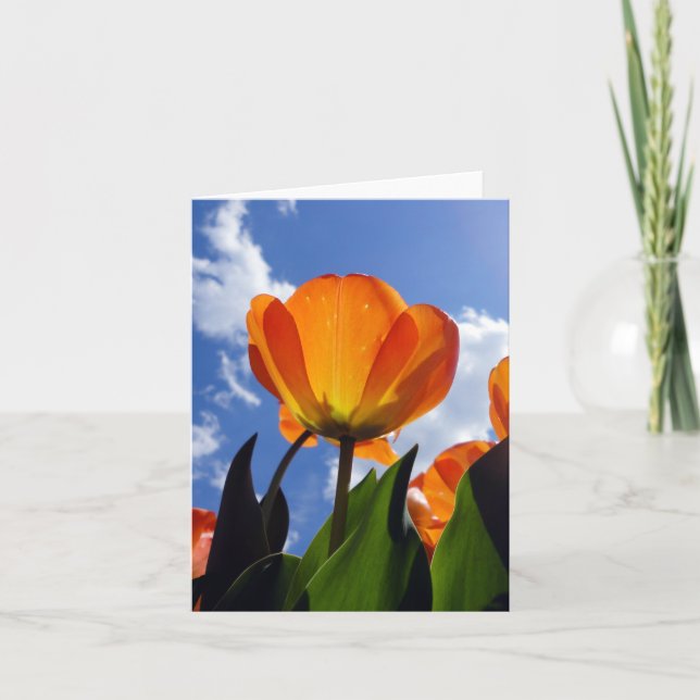 Orange Tulip, Blå himmel Anteckningskort (Framsida)