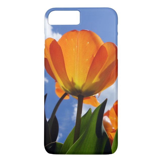 Orange Tulip, Blå himmel Case-Mate iPhone Skal (Baksida)