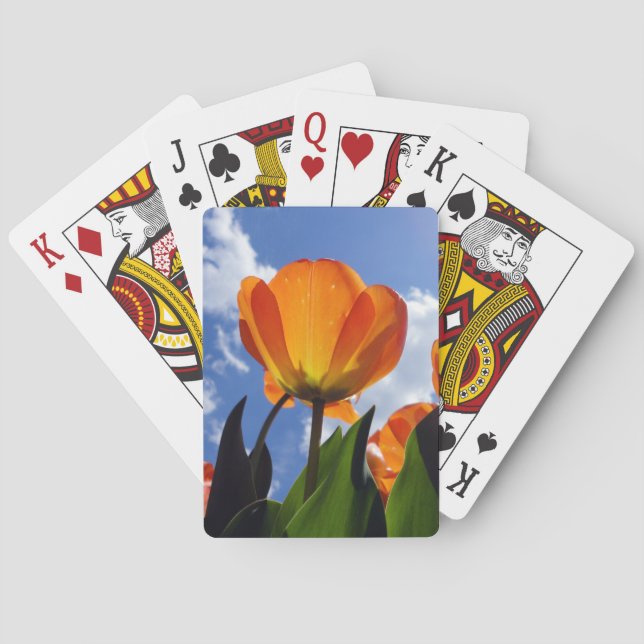 Orange Tulip, Blå himmel Casinokort (Baksidan)