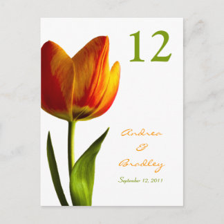 Orange Tulip-Bordsnummer Vykort
