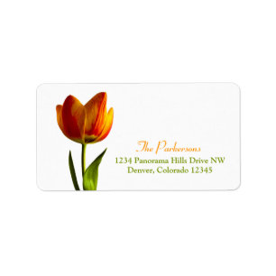 Orange Tulip Bröllop Adressetiketter