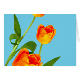 Orange Tulip Hälsningskort
