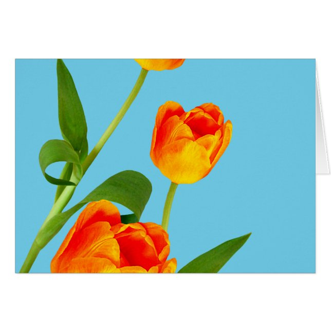 Orange Tulip Hälsningskort (Framsidan Horizontal)