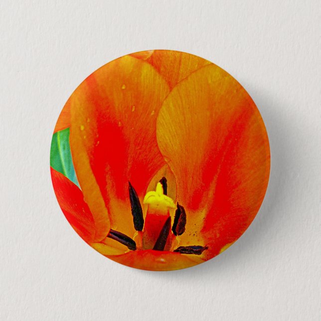 Orange Tulip Knapp (Framsida)