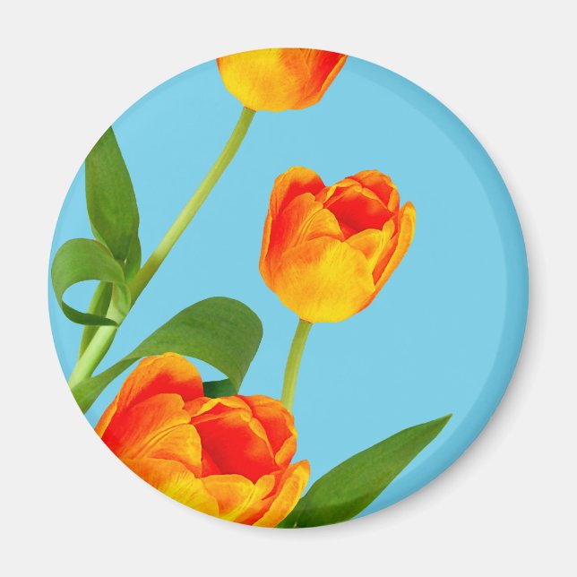 Orange Tulip Magnet (Framsidan)