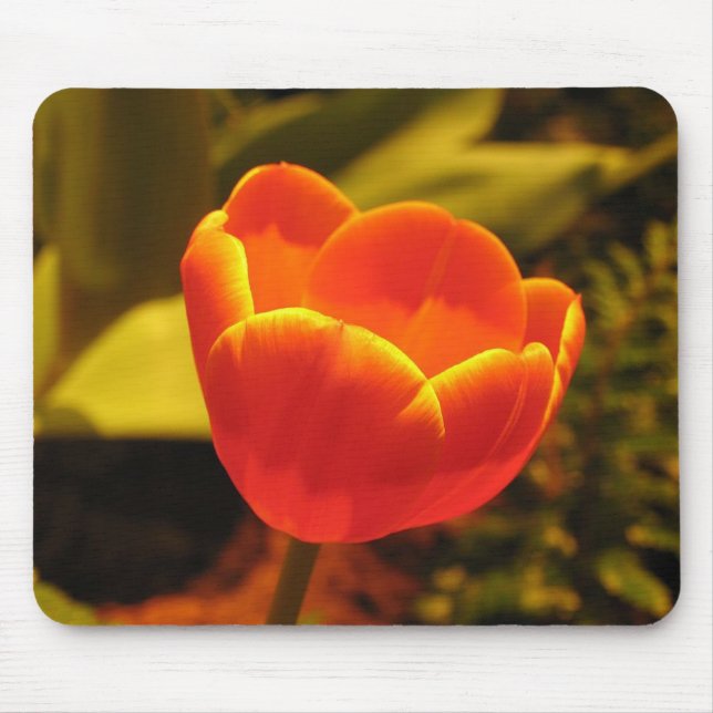 Orange Tulip Mouse Pad Musmatta (Framsidan)