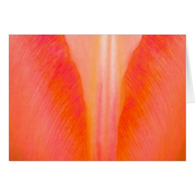 Orange Tulip OBS Kort (Framsidan Horizontal)