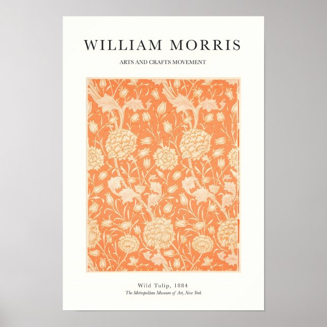 Orange Tulip Poster (Framsidan)