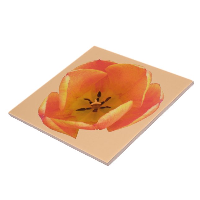 Orange Tulip Tile Kakelplatta (Sidan)