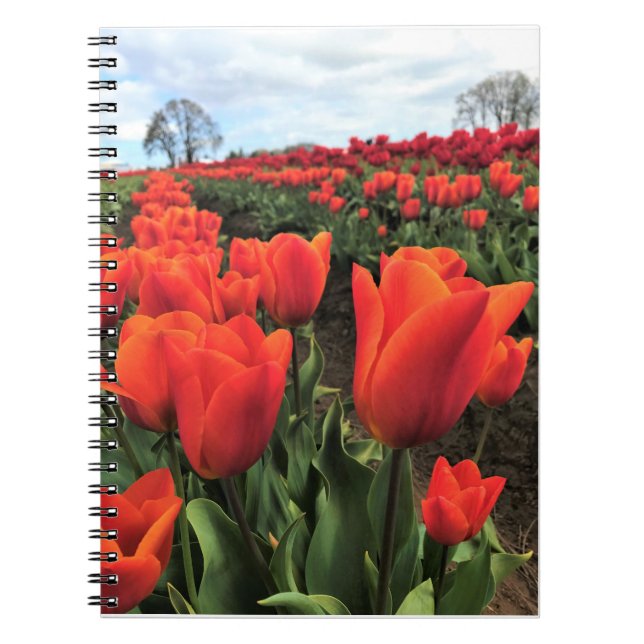 Orange Tulips i Fält, Oregon Anteckningsbok (Framsidan)