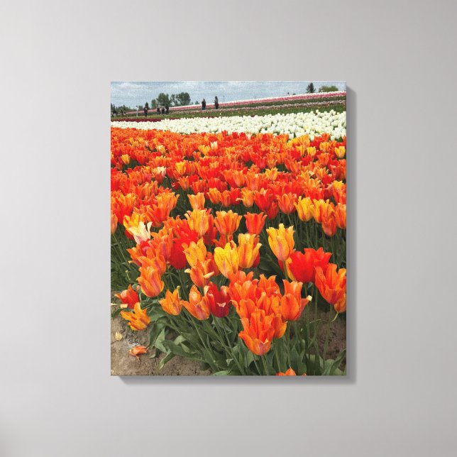 Orange Tulips i Fält, Woodburn, ELLER Canvastryck (Framsida)