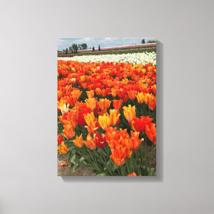 Orange Tulips i Fält, Woodburn, ELLER Canvastryck