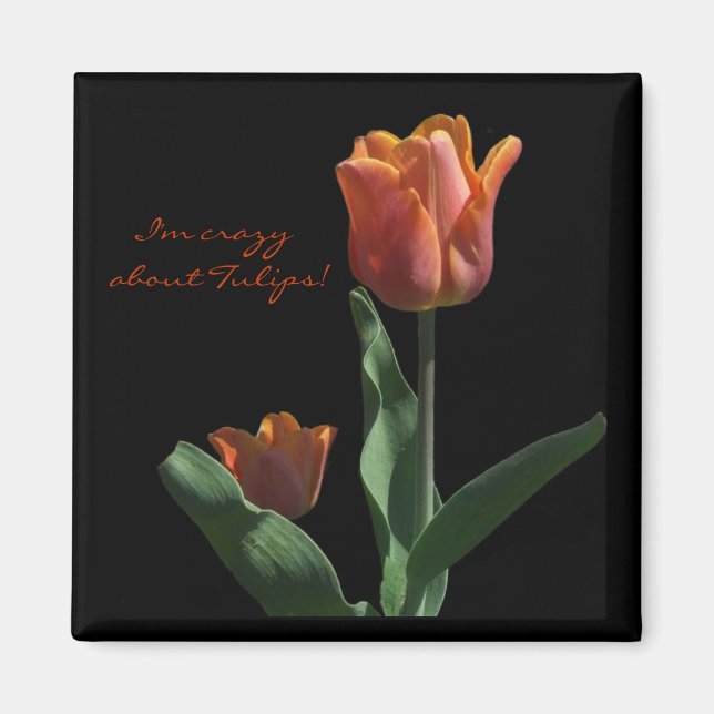 "Orange Tulips" Magnet (Framsidan)