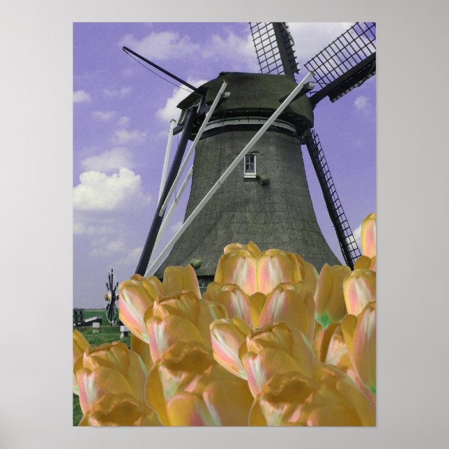 Orange Tulips Mill Holland Poster Art (Framsidan)