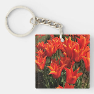 Orange Tulips, Oregon