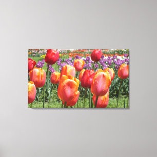 Orange Tulips på Elizabeth Park Wrapped Canvas