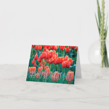 Orange Tulips Photo Lycklig Mors dag Card