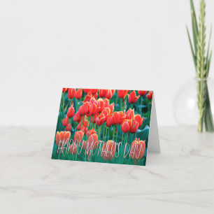 Orange Tulips Photo Lycklig Mors dag Card Tack Kort