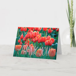 Orange Tulips Photo Tackto You Card Tack Kort