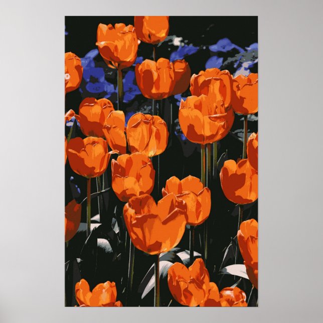 Orange Tulips Poster (Framsidan)